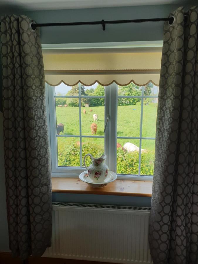 Nellies Cottage B&B Kilcogy Zewnętrze zdjęcie