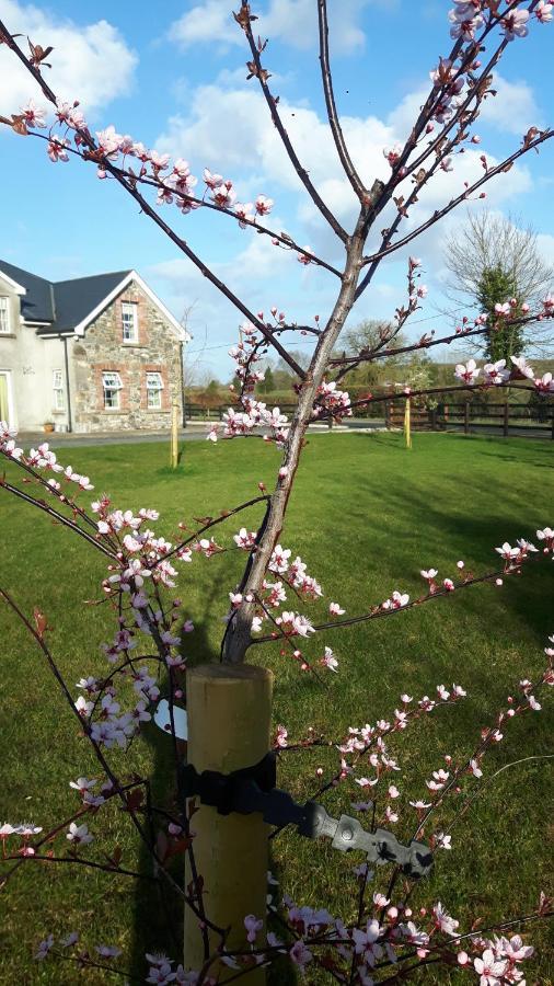 Nellies Cottage B&B Kilcogy Zewnętrze zdjęcie