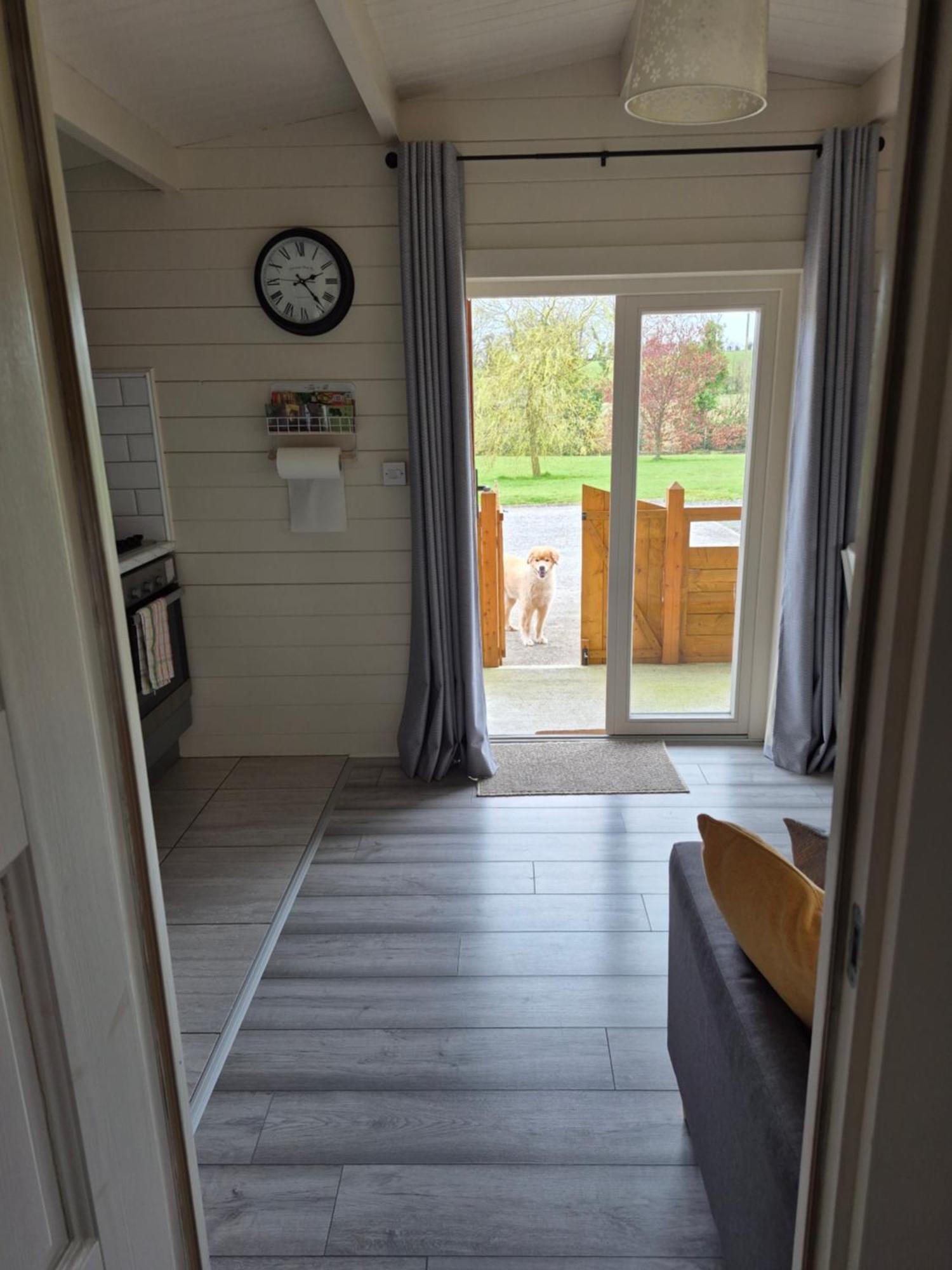 Nellies Cottage B&B Kilcogy Zewnętrze zdjęcie